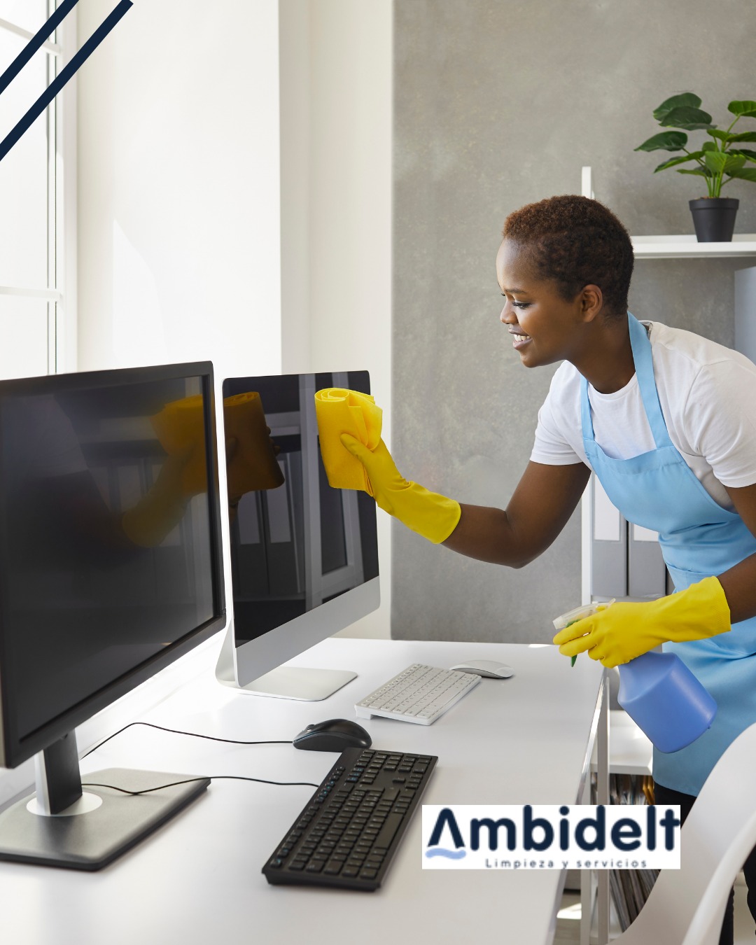 Profesionales de la limpieza con experiencia en Valencia